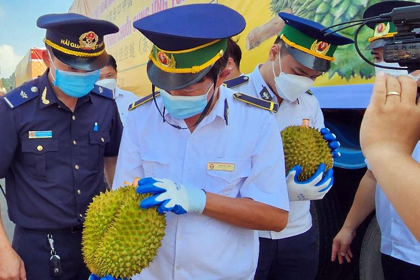 Việt - Trung kiểm soát chặt vùng trồng sầu riêng xuất khẩu - Ảnh 2.