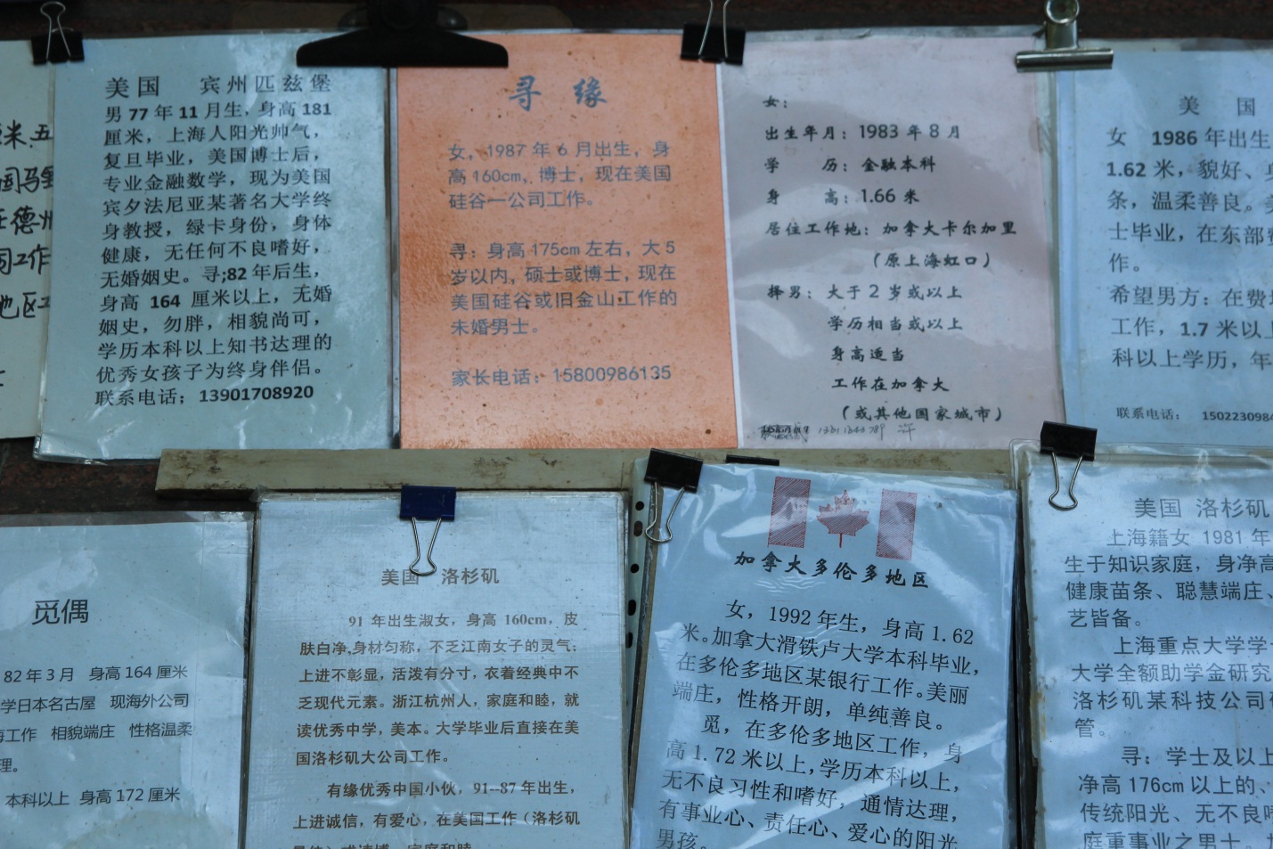 Chuyện kén dâu tuyển rể ở chợ hôn nhân ở Thượng Hải - Ảnh 3.