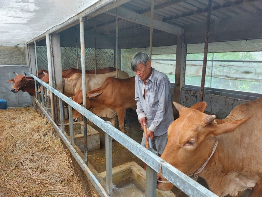 Tấm lòng người cựu chiến binh - Ảnh 3.