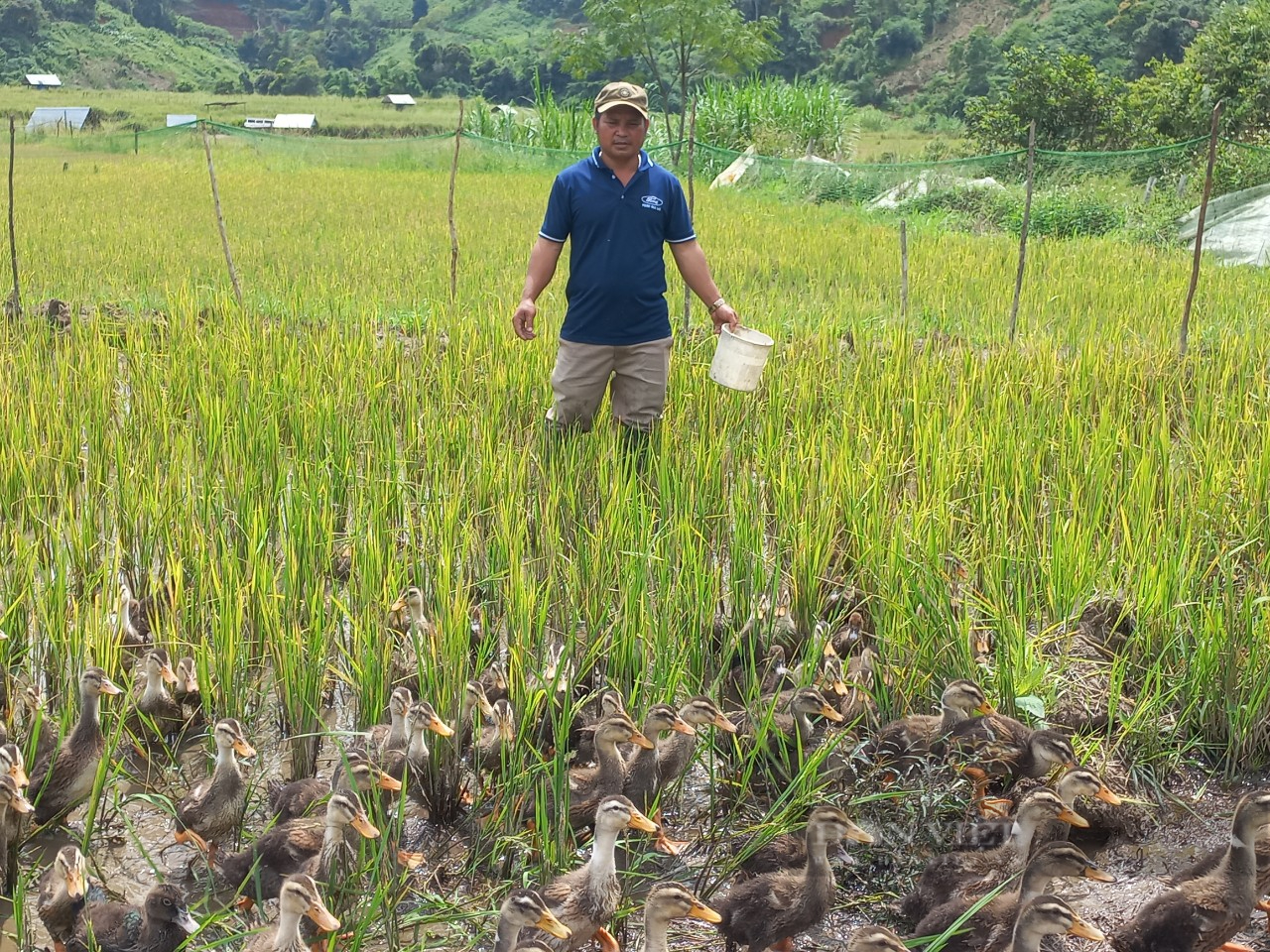 Nuôi lung tung, trồng đủ thứ, nông dân xuất sắc ở Kon Tum bỏ túi tiền tỷ mỗi năm - Ảnh 3.