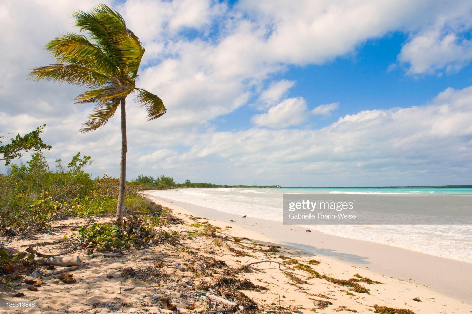 Những bãi biển đẹp nhất thế giới, được ví như thiên đường ở Cuba - Ảnh 14.