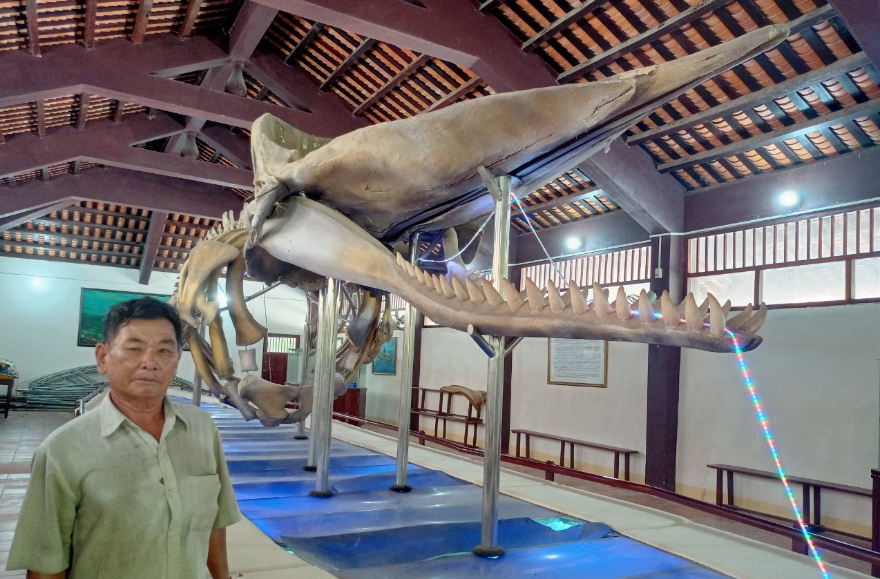 Vạn An Thạnh, Bảo tàng văn hóa biển có tuổi đời hơn 240 năm trên đảo Phú Quý  - Ảnh 2.