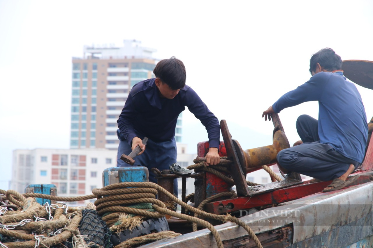 Chạy siêu bão, ngư dân &quot;đuối sức&quot; bốc cá  - Ảnh 5.