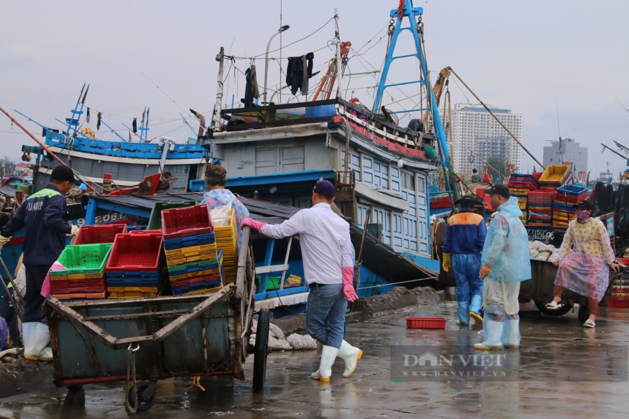 Chạy siêu bão, ngư dân &quot;đuối sức&quot; bốc cá  - Ảnh 1.