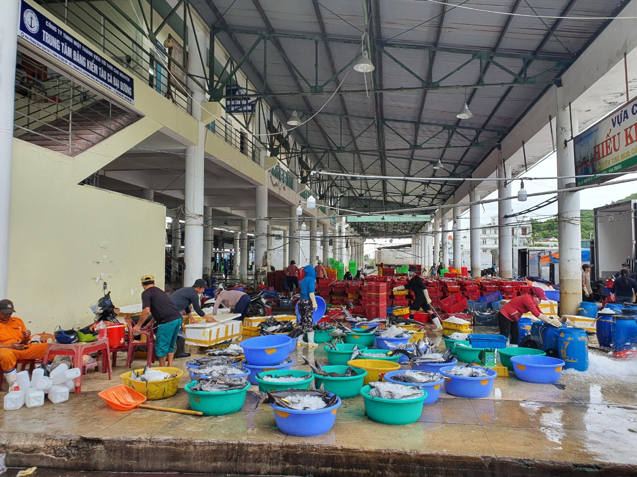 Nhiều ngư dân tại cảng Hòn Rớ, xã Phước Đồng, Nha Trang hối hả bán hải sản và neo đậu thuyền để tránh bão noru. Ảnh: C.T