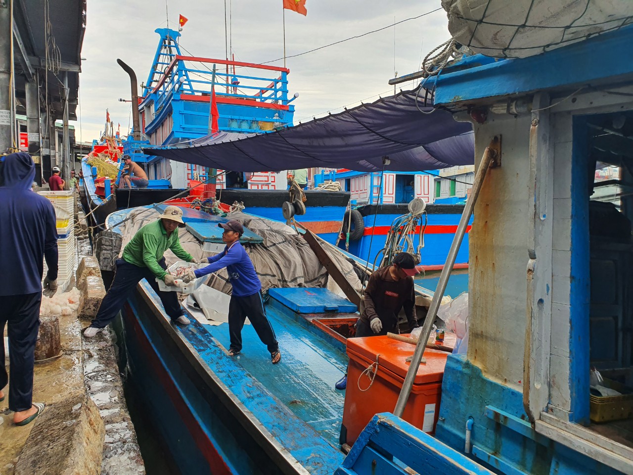 Khánh Hòa: Ngư dân bán hải sản chạy bão noru - Ảnh 3.