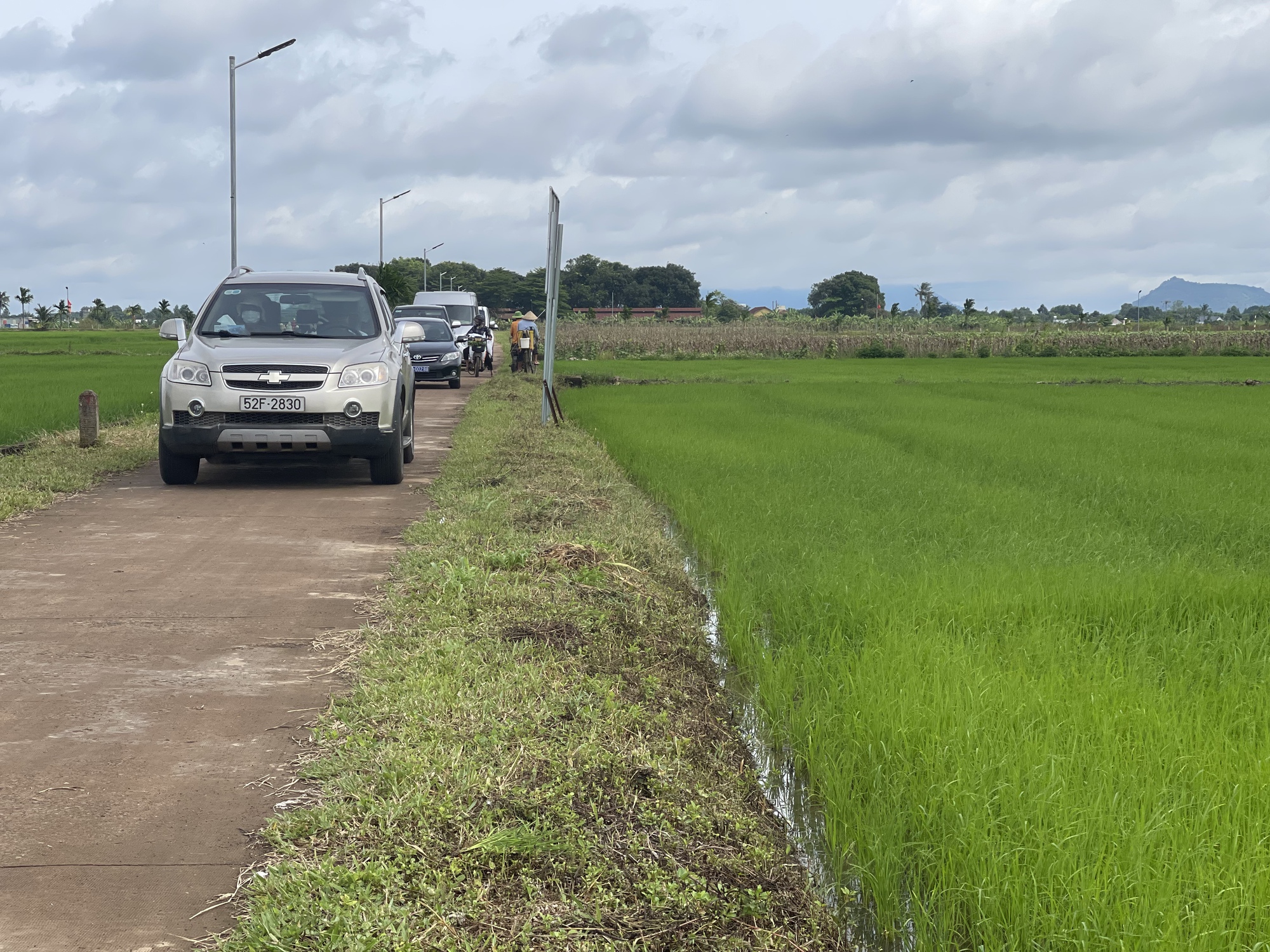 Nông dân Đồng Nai trồng lúa hữu cơ, sản phẩm làm ra được doanh nghiệp bao tiêu - Ảnh 4.