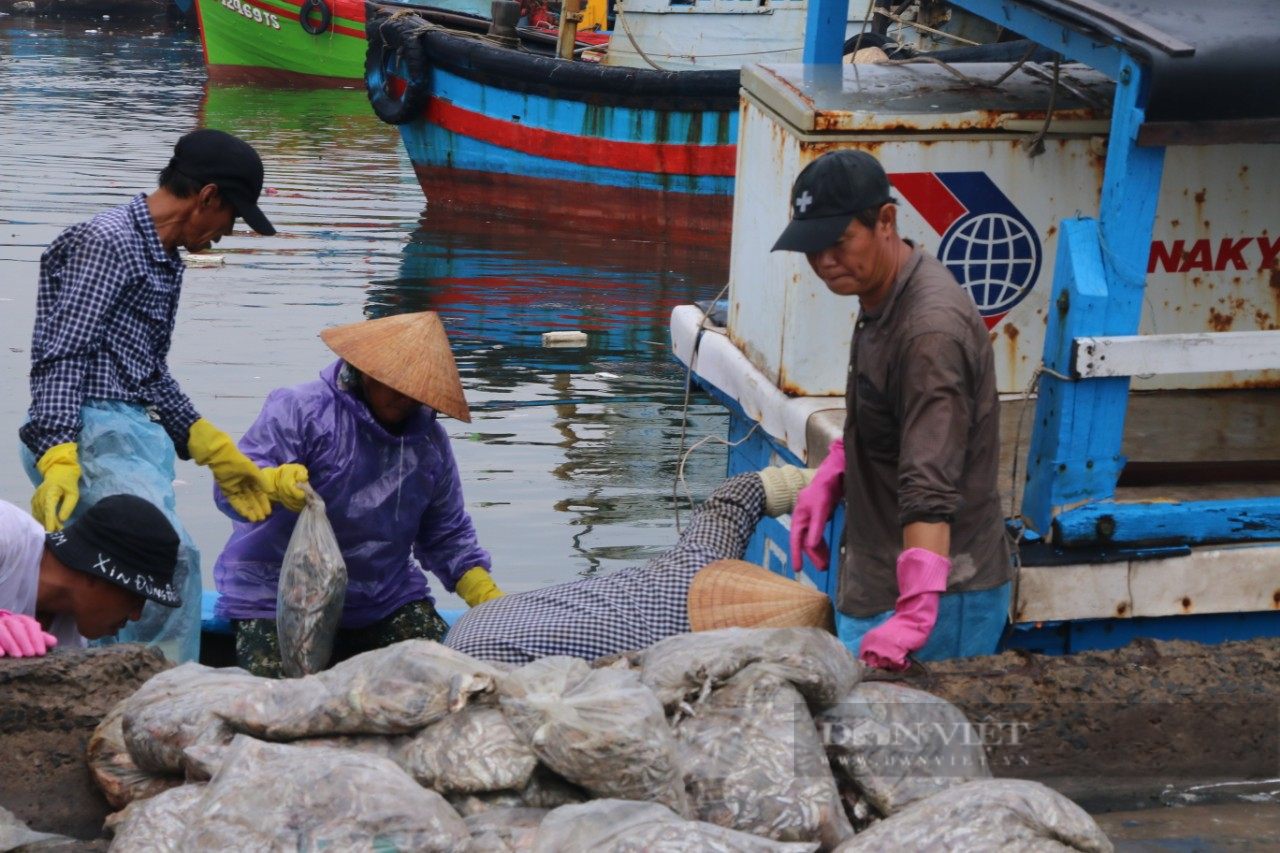 Chạy siêu bão, ngư dân &quot;đuối sức&quot; bốc cá  - Ảnh 2.