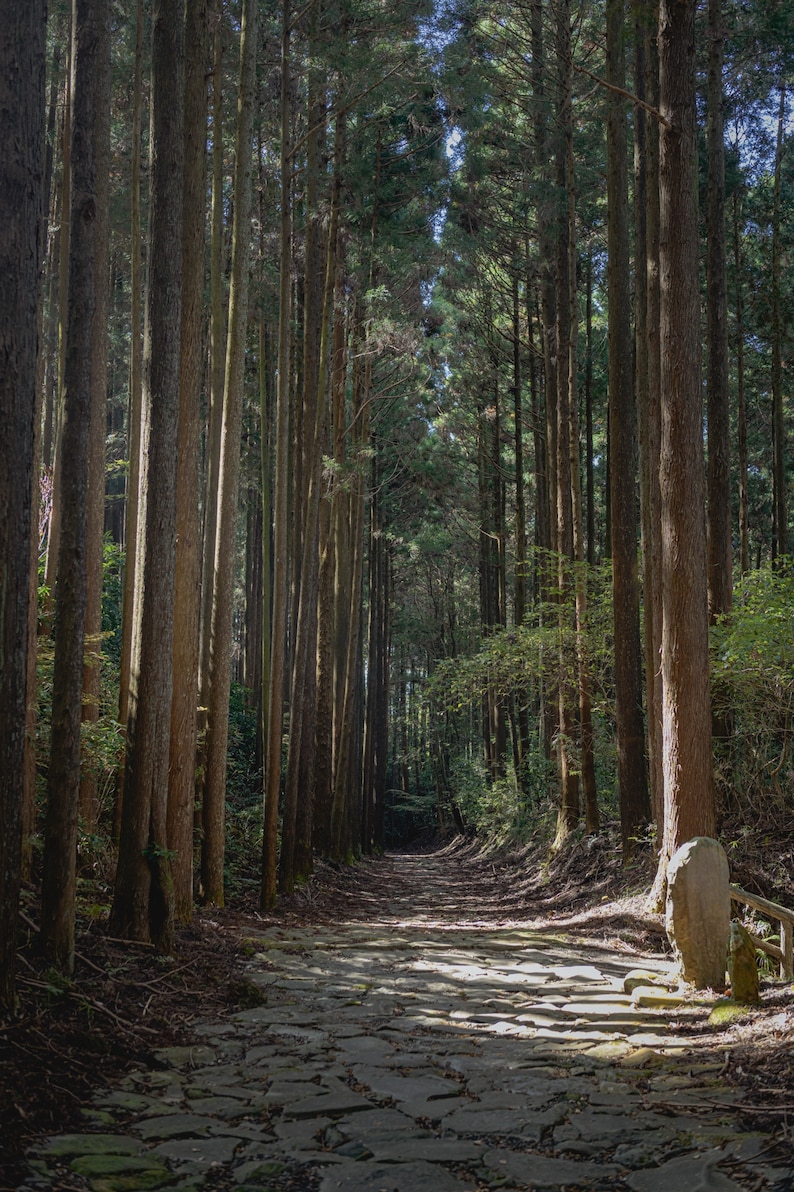 Du lịch Nhật Bản: Rảo bước trên con đường mòn Samurai cổ xưa xứ Phù Tang - Ảnh 2.