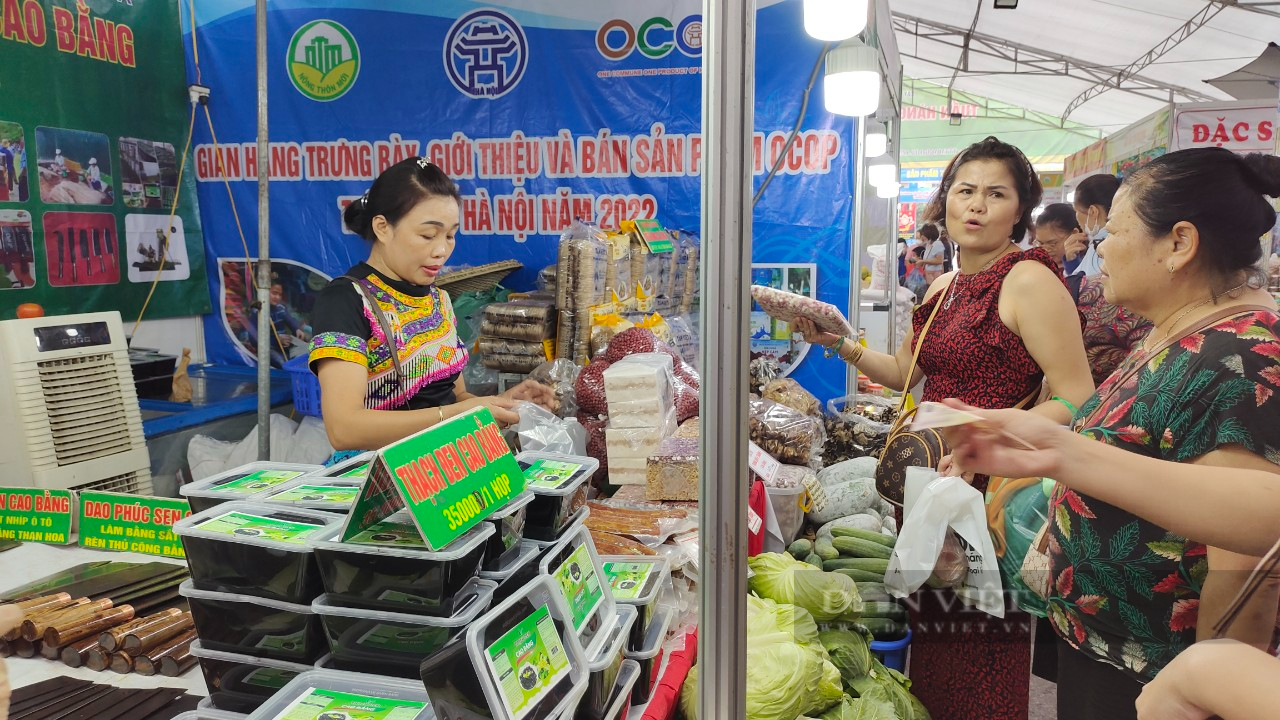 Tràn ngập đặc sản nổi tiếng, nhìn đã muốn mua tại Tuần hàng tư vấn, giới thiệu sản phẩm OCOP Hà Nội  - Ảnh 4.