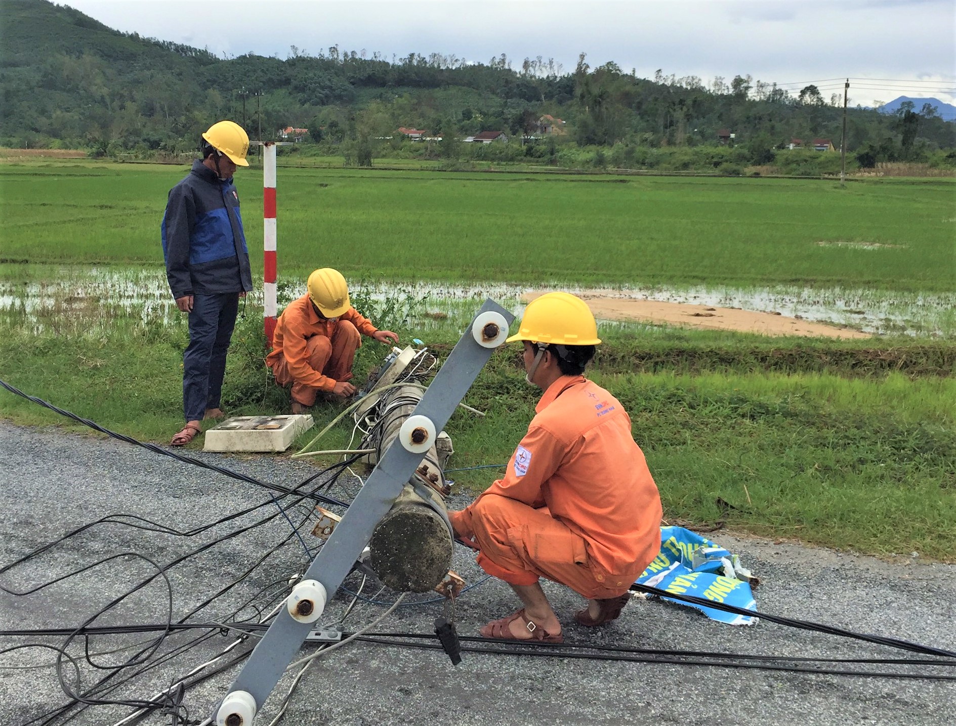 Quảng Nam: Sau bão số 4, ngành điện đang chạy nước rút để khắc phục lưới điện - Ảnh 5.