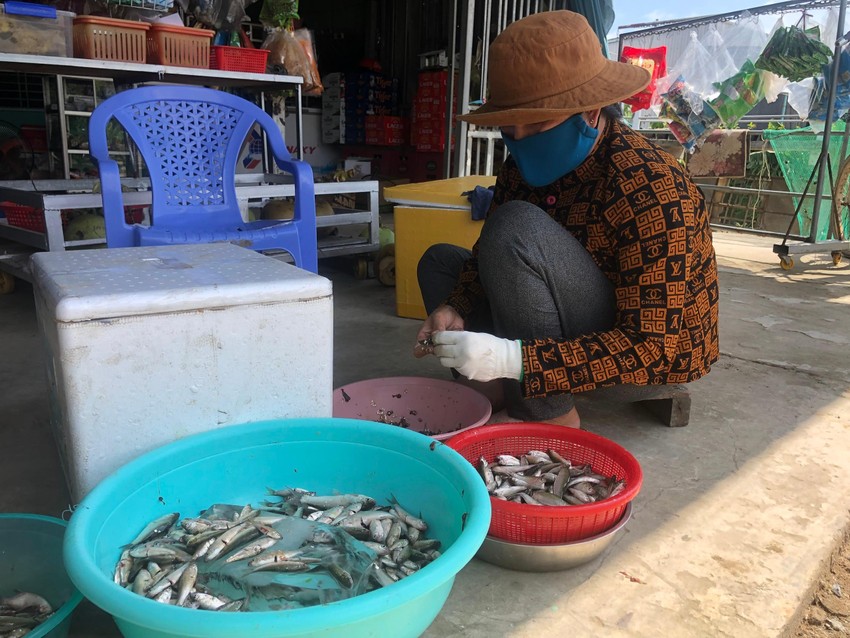 Mùa nước nổi miền Tây, một loài cá đặc sản đầu nguồn ở Long An càng to bán càng rẻ, đó là loài cá gì? - Ảnh 10.