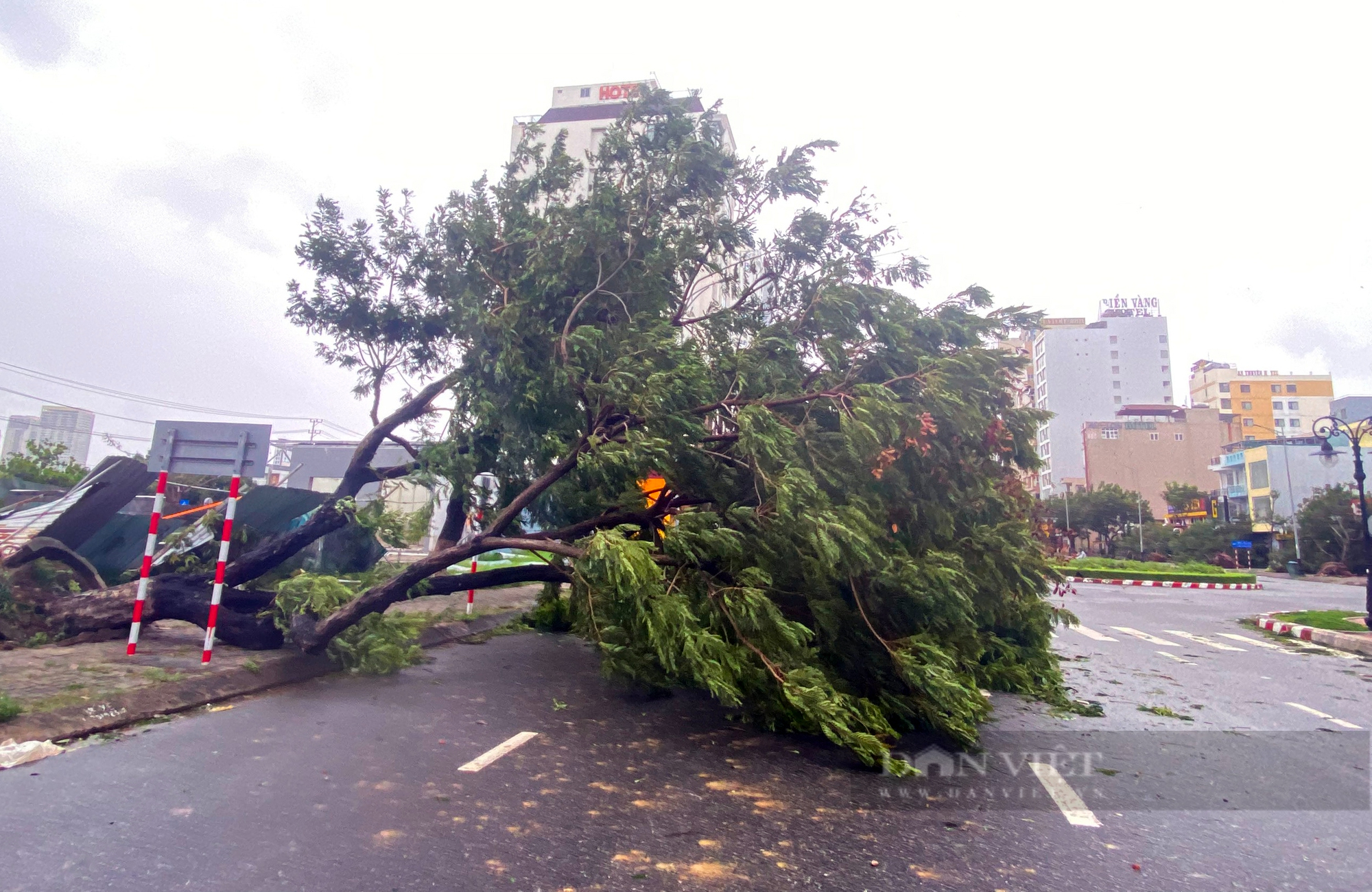 Ảnh mới nhất về bão Noru gây thiệt hại ở miền Trung: Nhiều cây xanh, cột điện, mái nhà bị thổi bay - Ảnh 10.