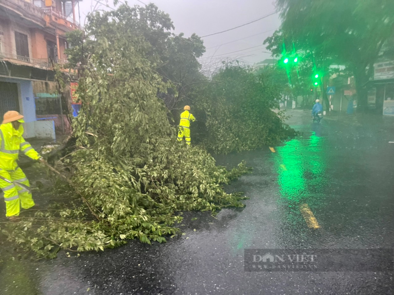 Ảnh mới nhất về bão Noru gây thiệt hại ở miền Trung: Nhiều cây xanh, cột điện, mái nhà bị thổi bay - Ảnh 13.