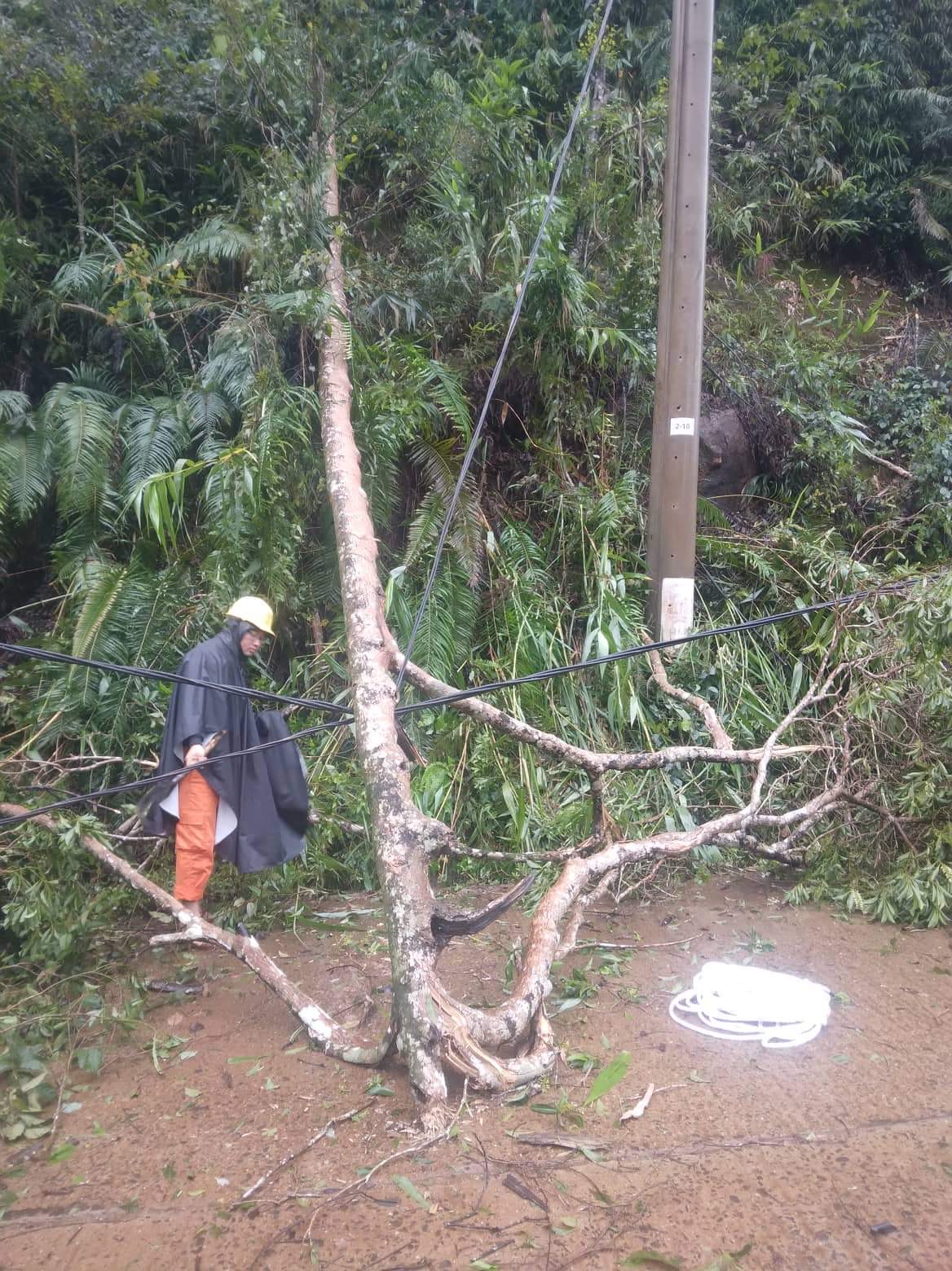 PC Kon Tum nỗ lực cấp điện cho người dân sau bão số 4 - Ảnh 1.