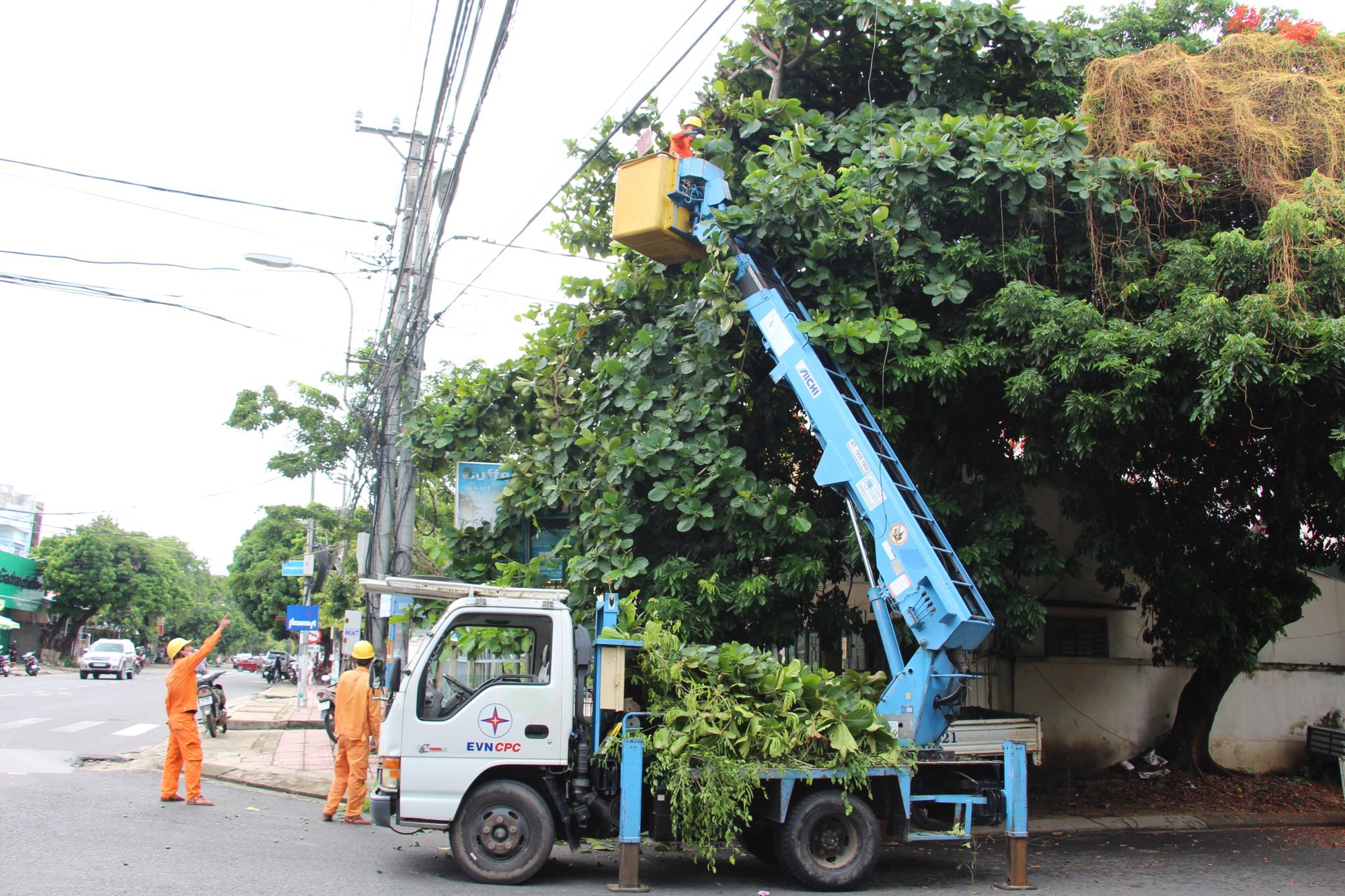 PC Kon Tum đảm bảo an toàn lưới điện - Ảnh 1.