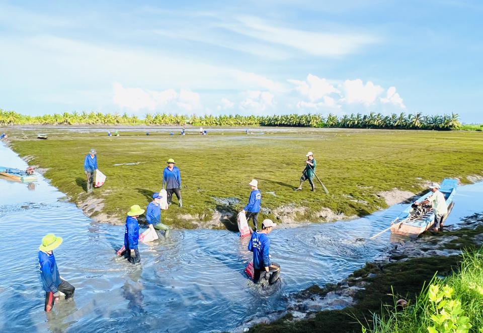 Tôm càng xanh trên đất lúa trúng mùa được giá - Ảnh 4.