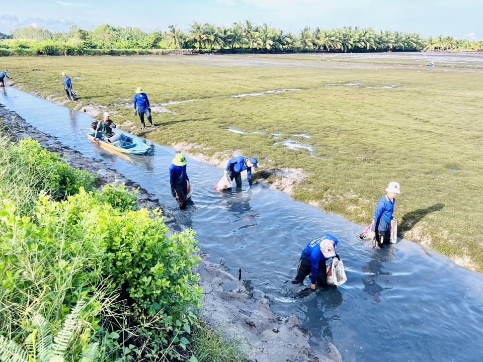 Tôm càng xanh trên đất lúa trúng mùa được giá - Ảnh 3.