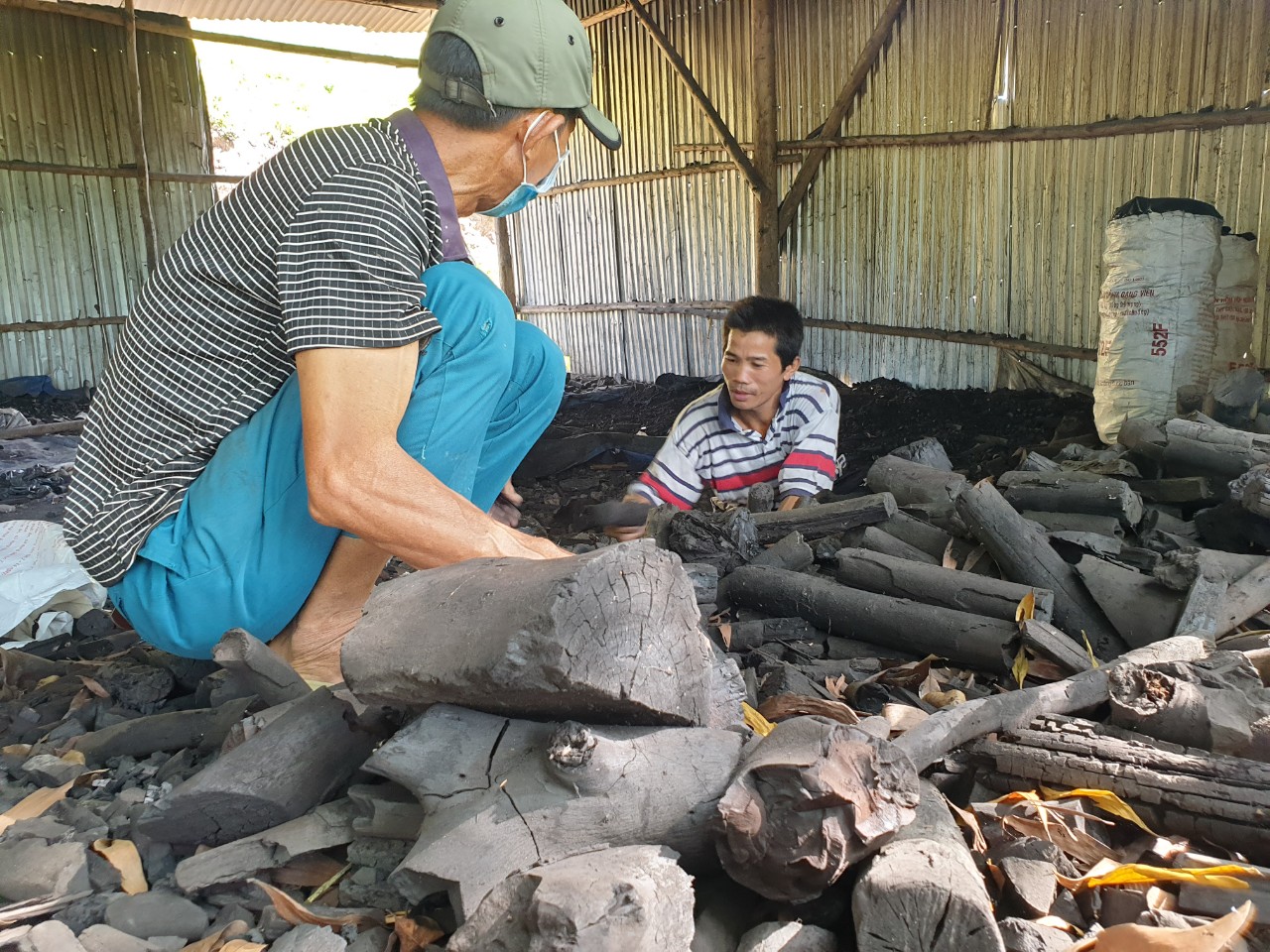 Một nông dân Phú Yên đào ao nuôi ốc đặc sản, trồng 100ha rừng, đốt than củi keo lai bán sang Hàn Quốc - Ảnh 2.