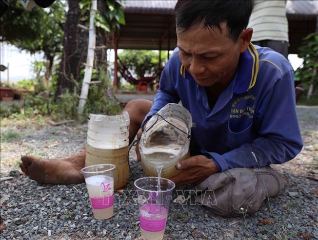 Loài cây kỳ lạ ở An Giang, cho mật ngọt, cho cả trái nước thơm, cây cao như cột chống trời muốn trèo không dễ - Ảnh 7.