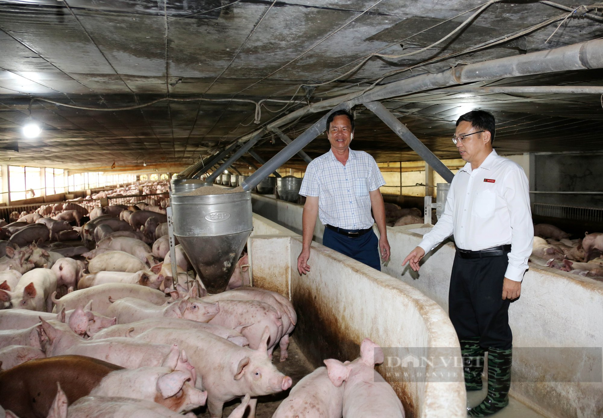 Tây Ninh: Nuôi 5.000 con heo, 230.000 con gà lạnh, một nông dân ở huyện Dương Minh Châu thu về tiền tỷ - Ảnh 2.
