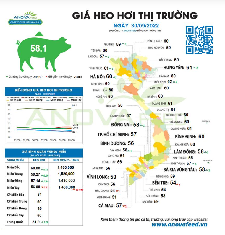 Trung Quốc tiếp tục xuất kho dự trữ thịt lợn để bình ổn giá, giá lợn hơi trong nước bật tăng - Ảnh 1.