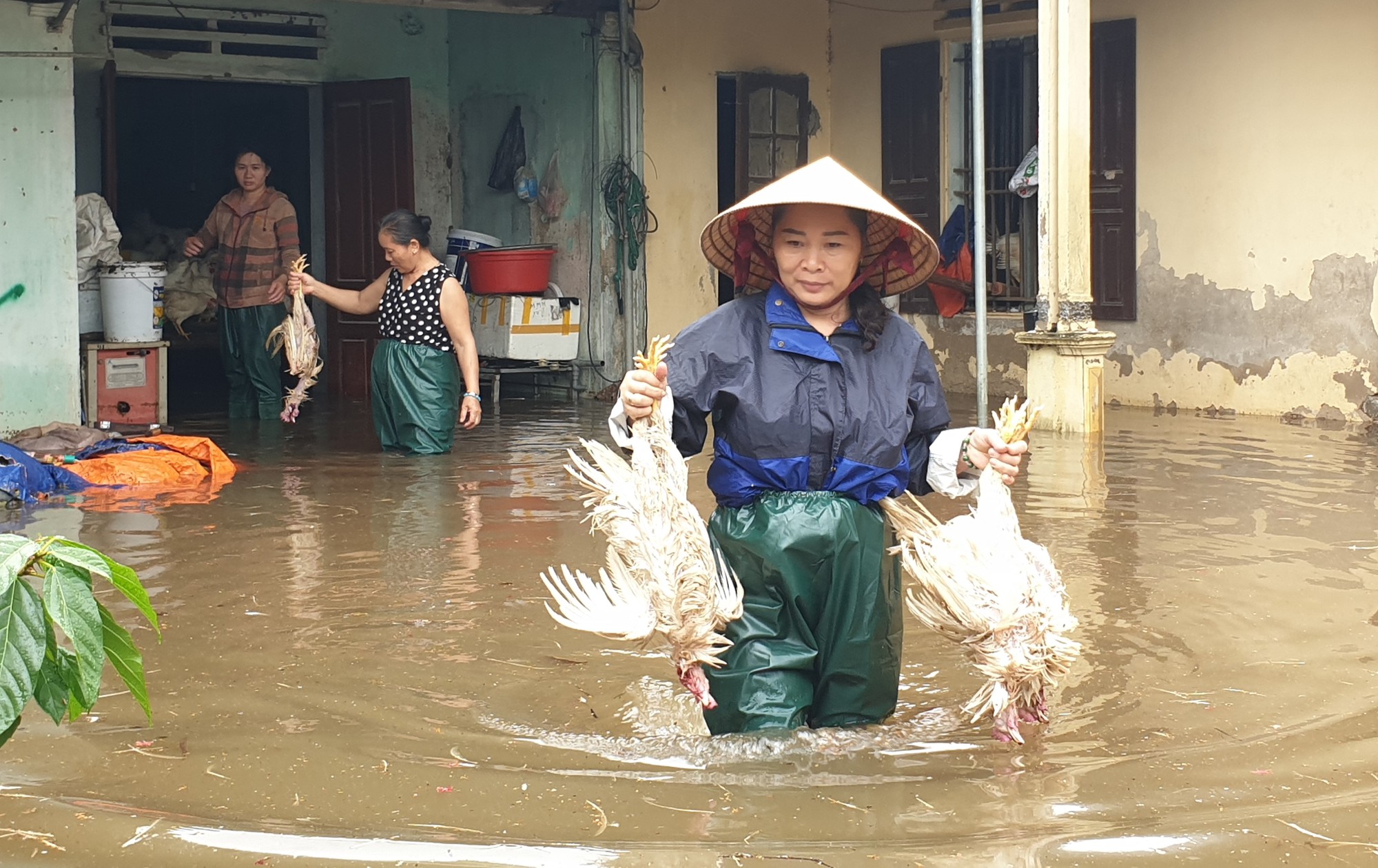 Nghệ An: Hàng nghìn ha nuôi trồng thủy sản ở Nghệ An chìm trong nước - Ảnh 3.