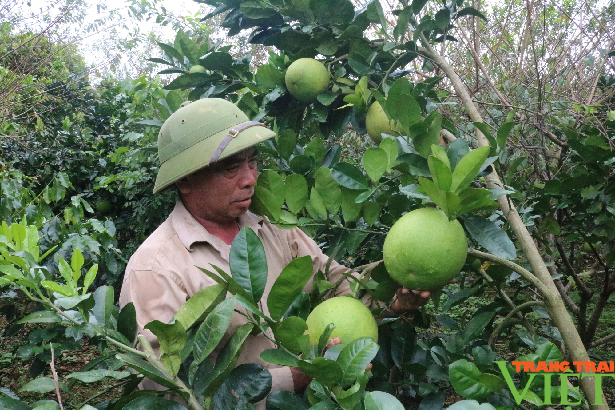 Đổi thay vùng quê anh hùng Mường Chanh - Ảnh 3.