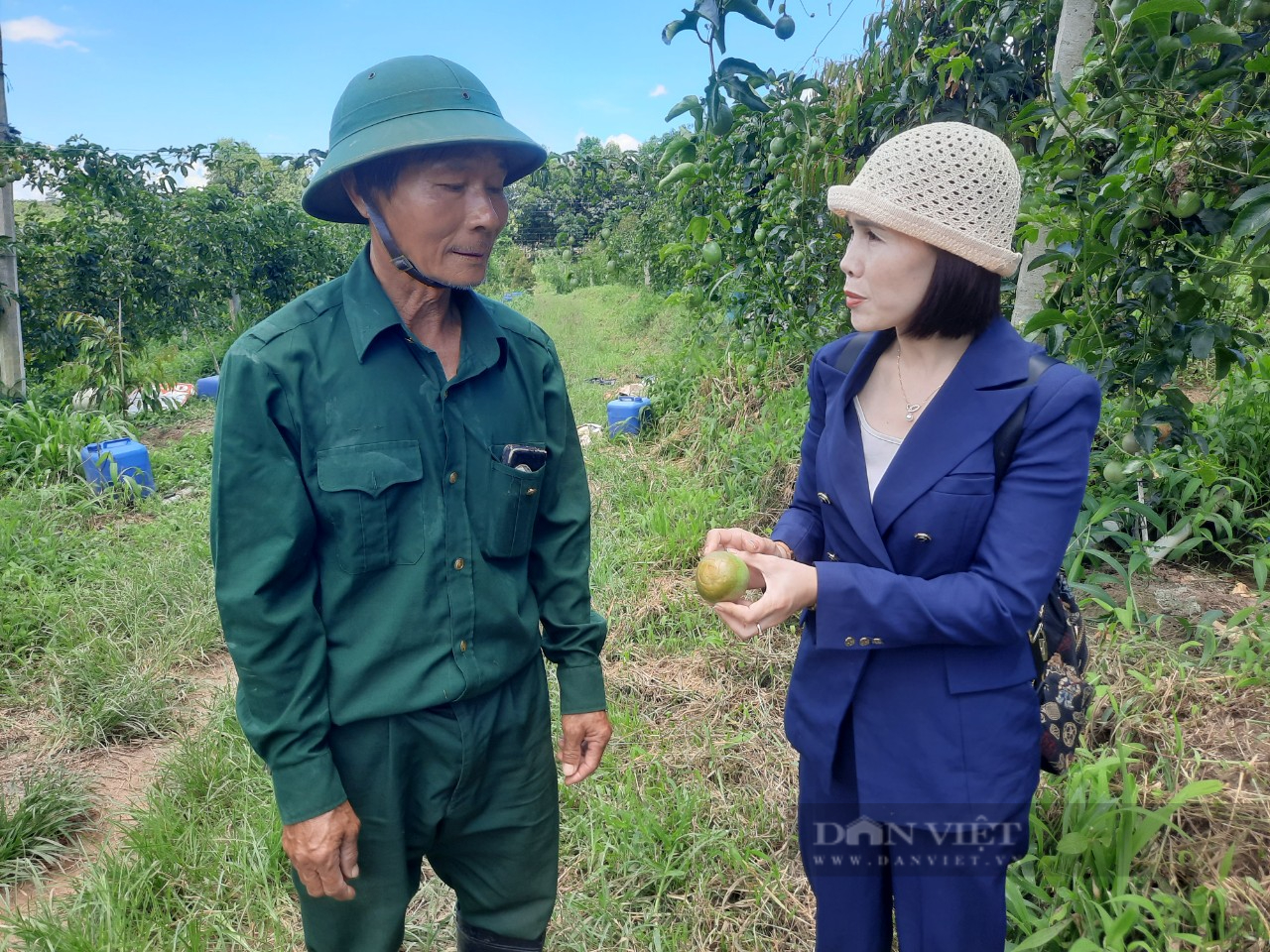 Trồng, chế biến chanh dây bán ra châu Âu, một người ở Gia Lai là Nông dân Việt Nam xuất sắc 2022 - Ảnh 1.