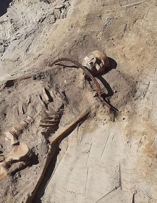 Kinh hoàng phát hiện bộ xương nữ 'ma cà rồng' bị lưỡi liềm khổng lồ ghim chặt trong ngôi mộ cổ - Ảnh 2.