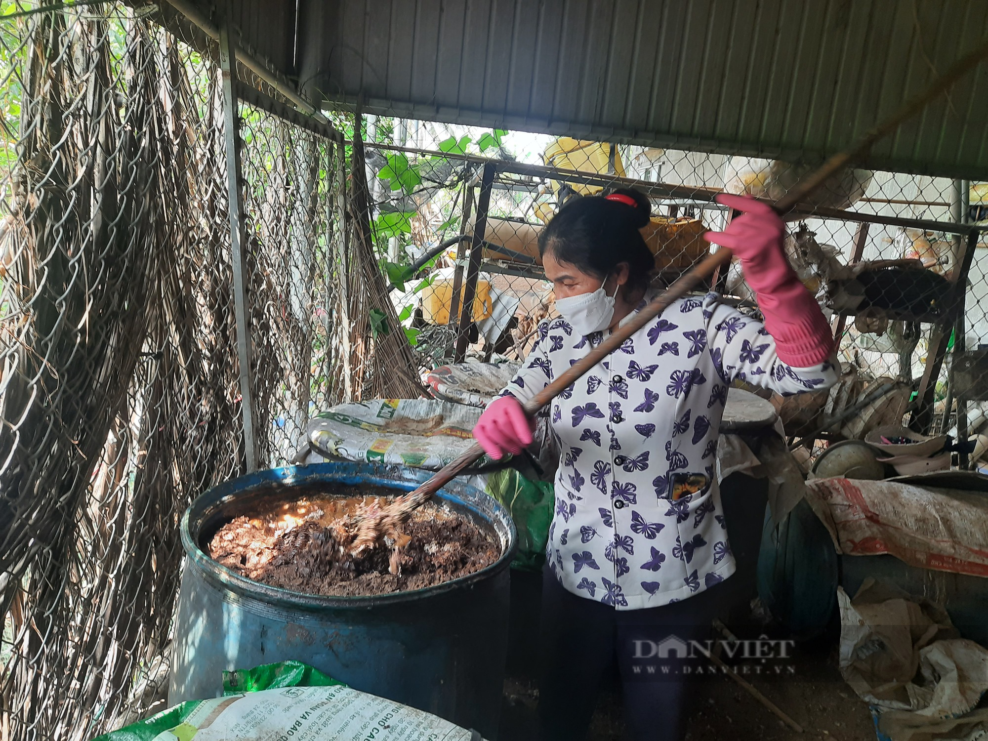 Ủ cá thành phân bón, vườn cây trái của nữ nông dân ở Gia Lai ra sum suê, trĩu mọng - Ảnh 2.