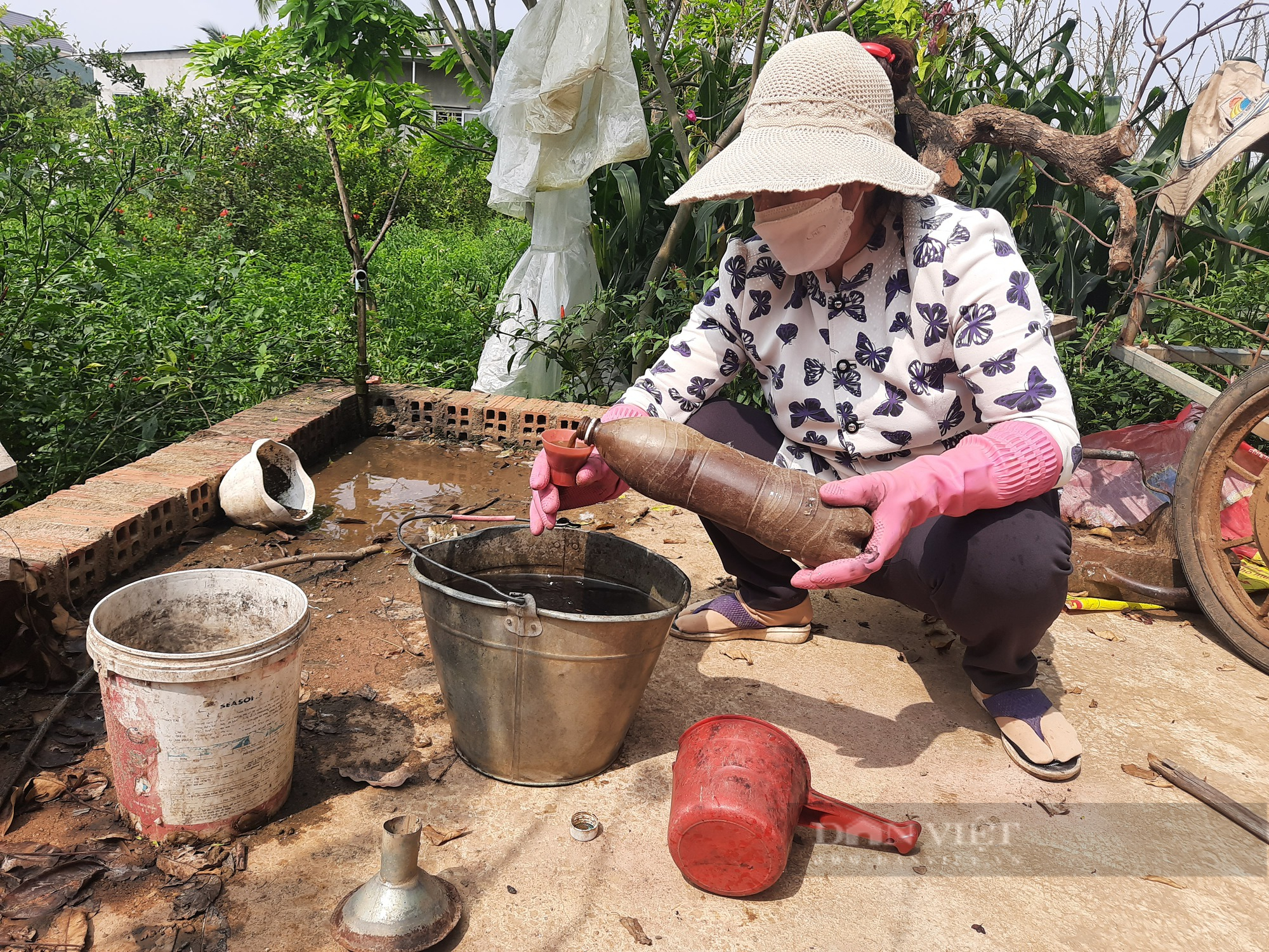 Ủ cá thành phân bón, vườn cây trái của nữ nông dân ở Gia Lai ra sum suê, trĩu mọng - Ảnh 3.