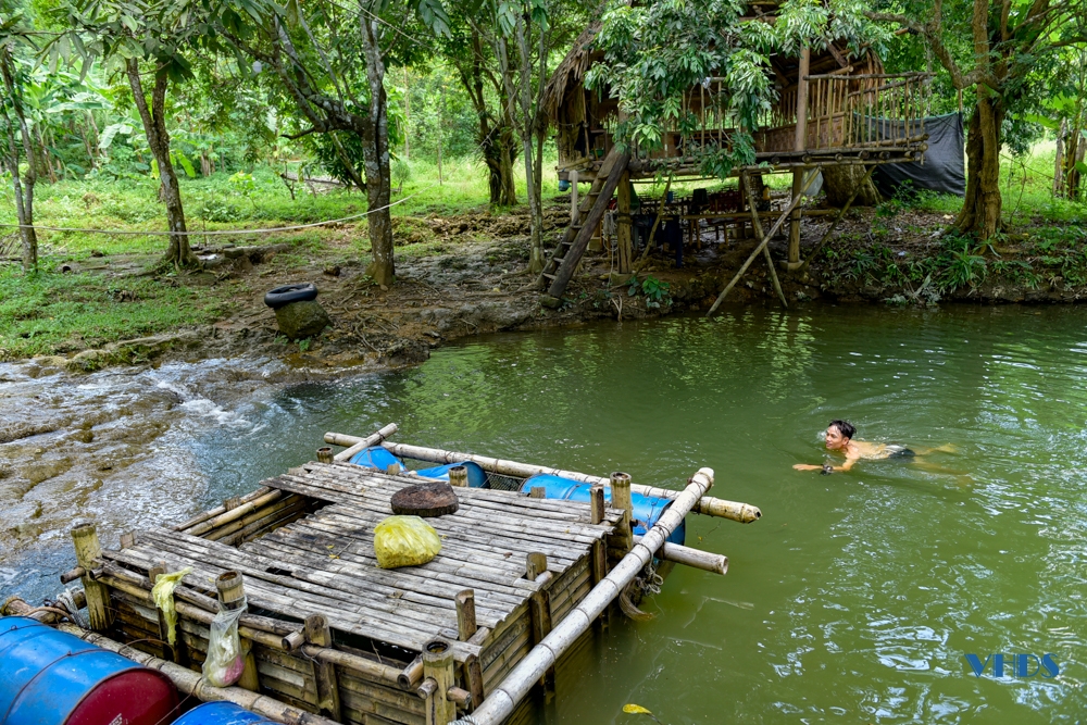 Nuôi loài cá đặc sản của sông Mã trông như cái tàu ngầm, thịt cực ngọt và ngon, có giá trị kinh tế cao - Ảnh 10.