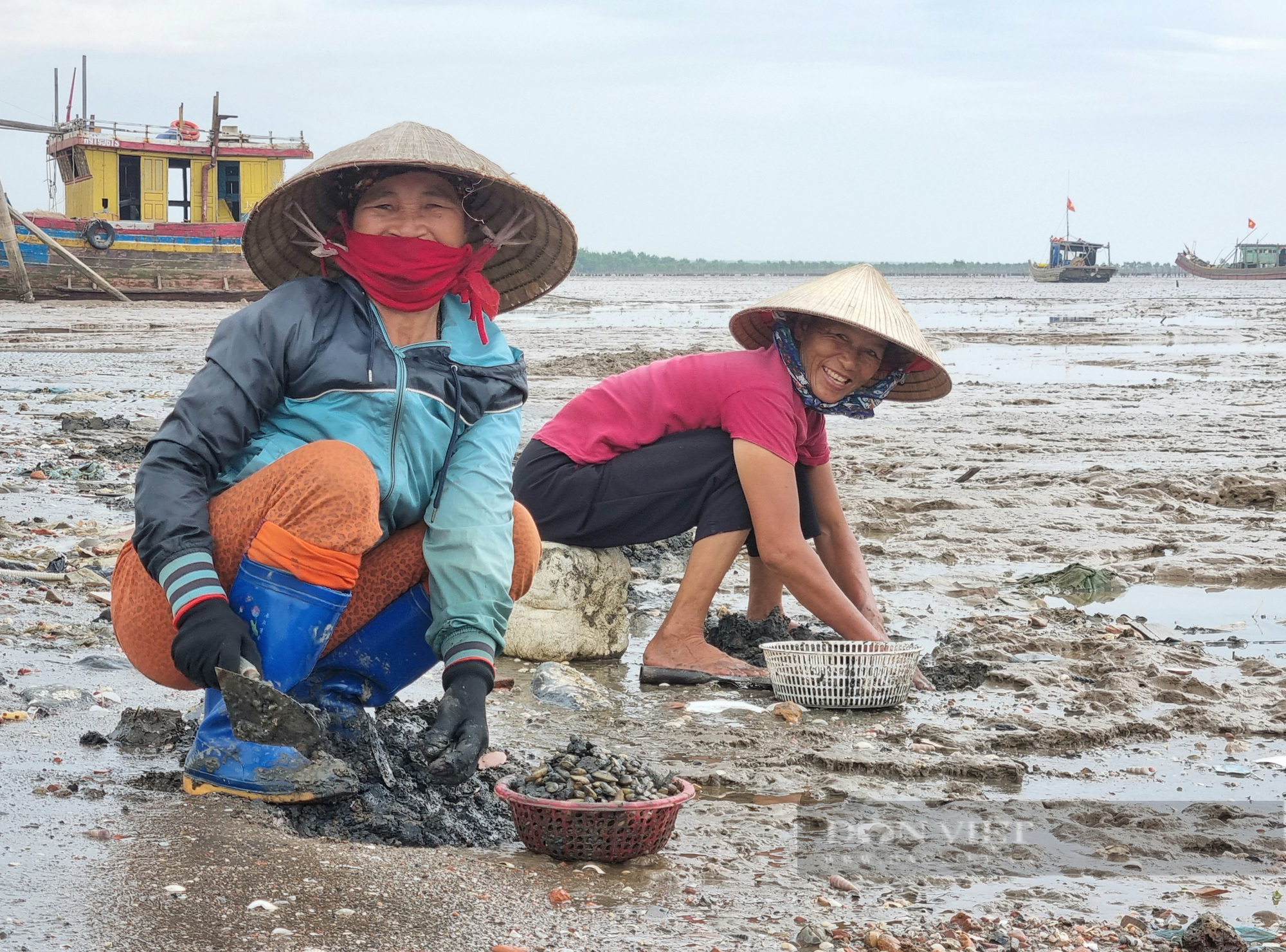 “Săn” con don trên cửa biển tại Thanh Hóa - Ảnh 2.