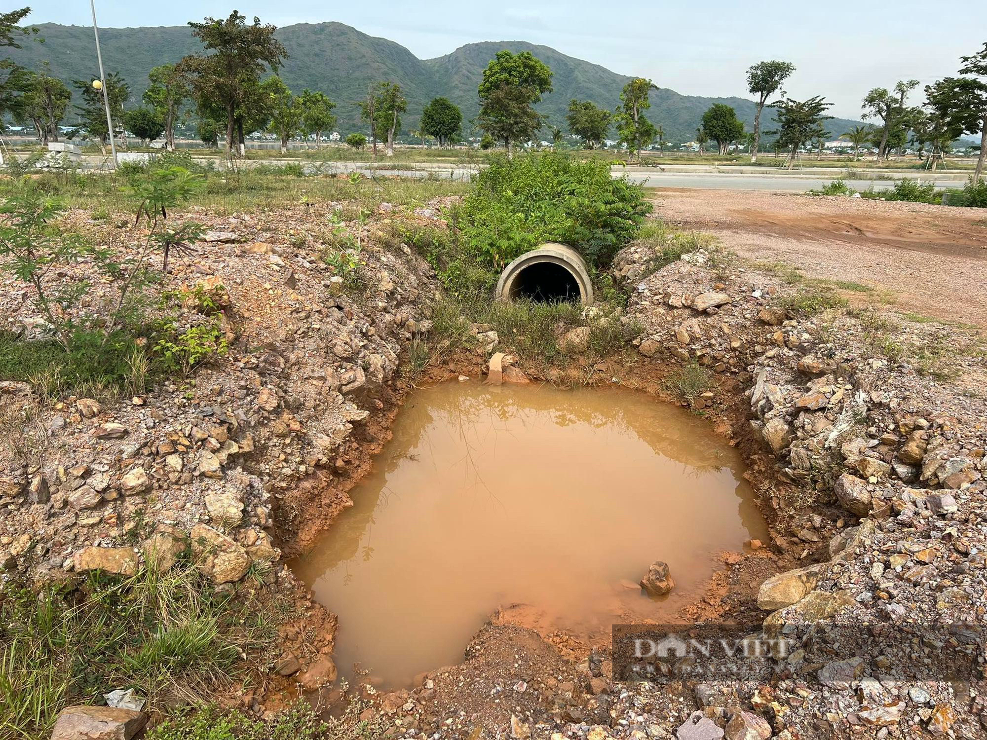 Bết bát 'khó tin' khu đô thị 5.000 tỷ ở Bình Định từng bị Thanh tra Chính phủ 'điểm tên'  - Ảnh 2.