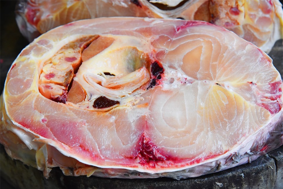 Cá sọc dưa - loài cá sống tới 50 năm mang hương vị Tây Nguyên - Ảnh 3.