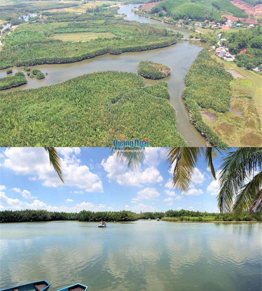 Khu rừng toàn thứ cây mọc từ dưới nước lợ vươn lên ở Quảng Ngãi, ra trái nhìn lạ mắt đang hút khách đến chơi - Ảnh 3.