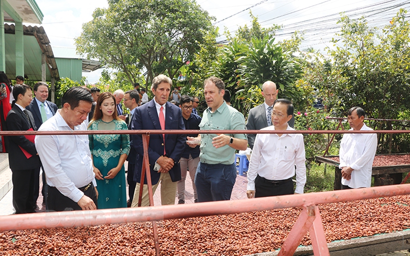 Từ 10.000ha, nay toàn tỉnh Bến Tre còn có 148ha trồng ca cao, vì sao diện tích cây đặc sản này đang tăng trở lại?