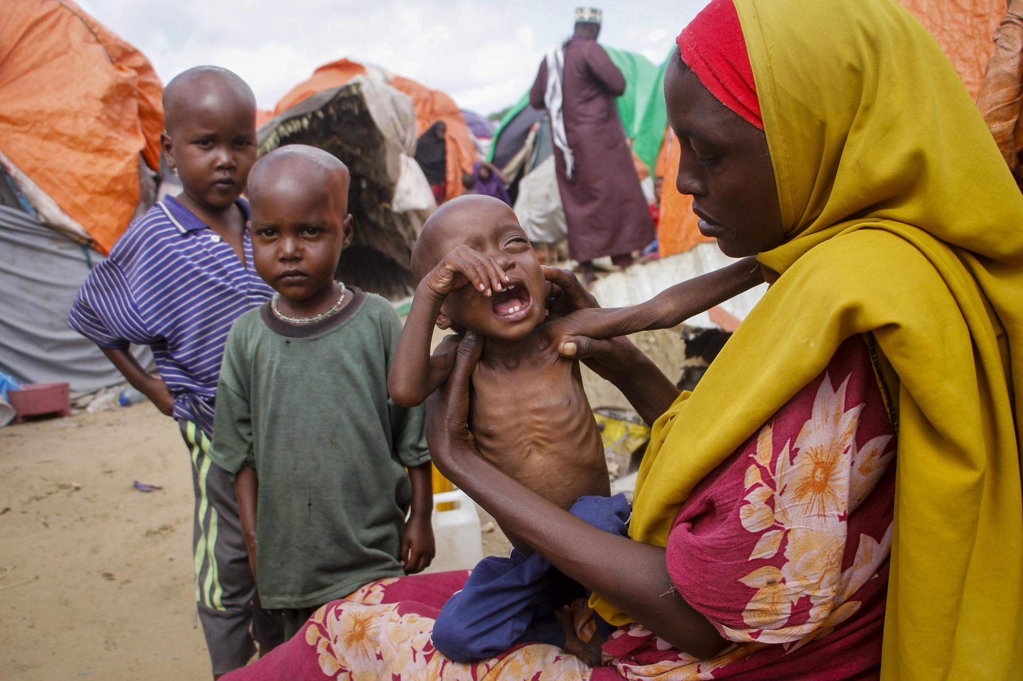 Liên Hiệp Quốc cho biết &quot;nạn đói đã đến gần&quot; ở Somalia. Ảnh: @AFP.