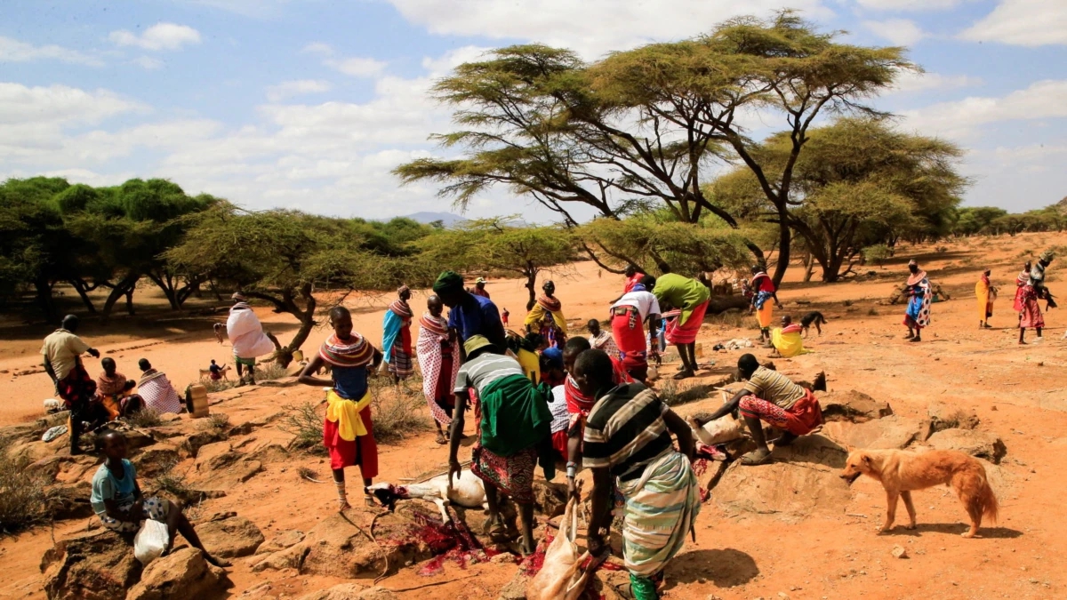 Hơn 80 triệu người ở Somalia, Ethiopia, Kenya, Sudan, Nam Sudan, Uganda và Djibouti đang bị mất an ninh lương thực và gần một nửa trong số họ đang phải bán tài sản của mình để có ăn. Ảnh: @AFP.