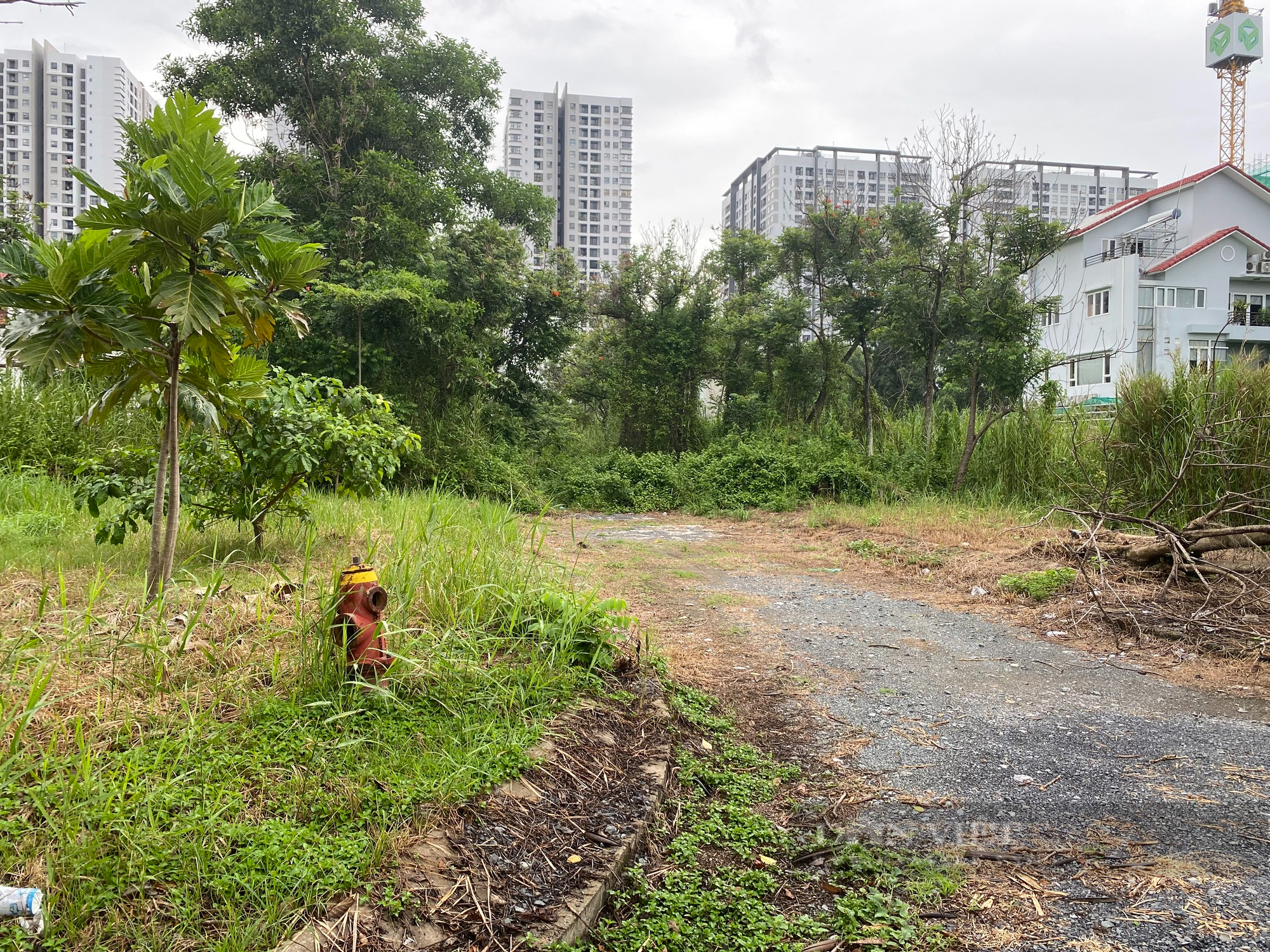 Dự án nhà ở Tân An Huy: Người dân góp vốn, 18 năm chưa nhận được đất để xây nhà - Ảnh 7.