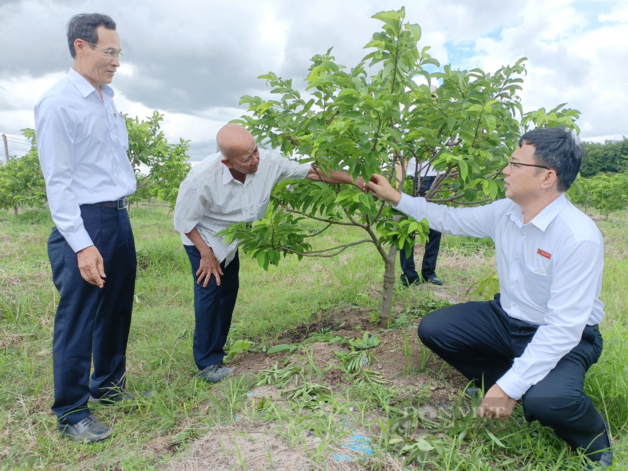 Tây Ninh: Lão nông &quot;khùng&quot; có bao nhiêu tiền đều dành hết mua đất trồng rừng...nhưng không phải lấy gỗ để bán  - Ảnh 4.