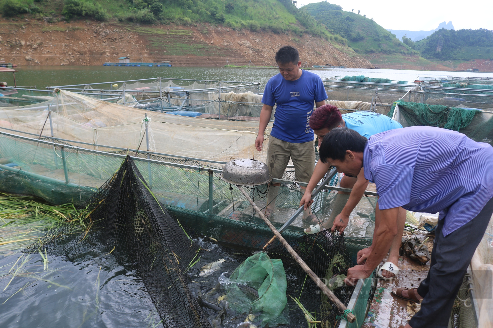 Phó Chủ tịch Hội Nông dân xã vùng cao Sơn La đánh thức tiềm năng vùng lòng hồ - Ảnh 3.