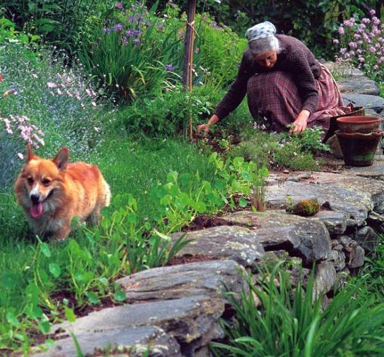 Cụ bà 92 tuổi người Mỹ cải tạo đất quê thành căn nhà vườn nên thơ trị giá 2 triệu USD - Ảnh 2.
