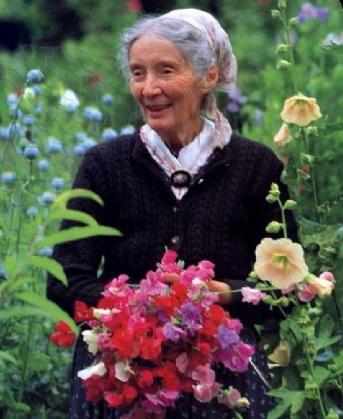 Cụ bà 92 tuổi người Mỹ cải tạo đất quê thành căn nhà vườn nên thơ trị giá 2 triệu USD - Ảnh 1.