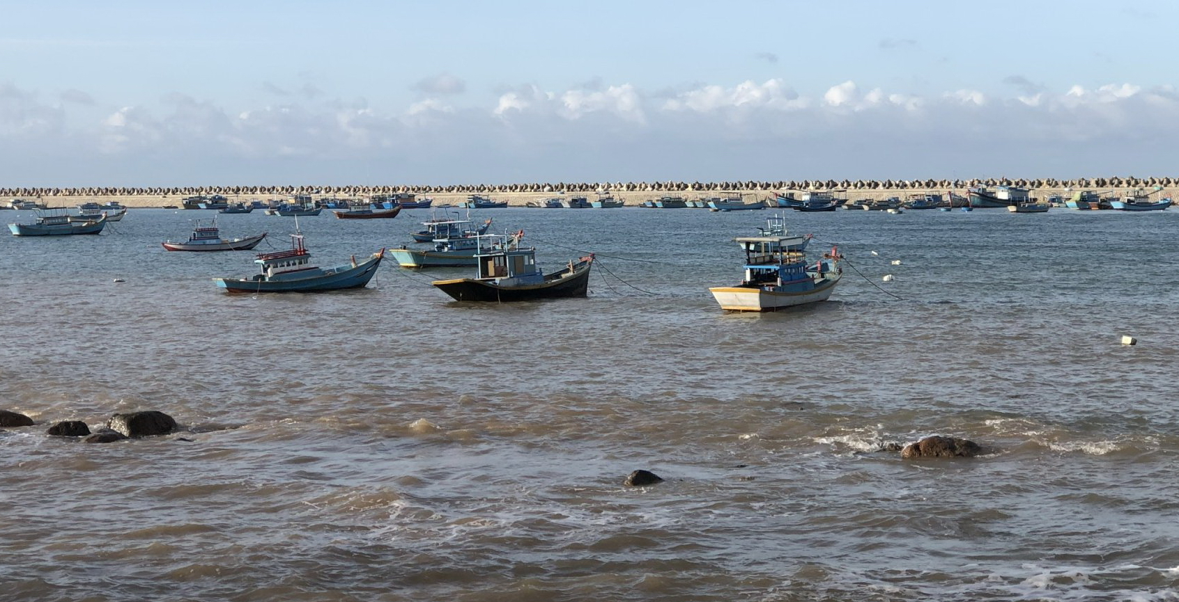 Bình Thuận: Kiểm soát chặt chẽ, không để tàu đánh bắt hải sản bất hợp pháp, vi phạm vùng biển nước ngoài - Ảnh 3.