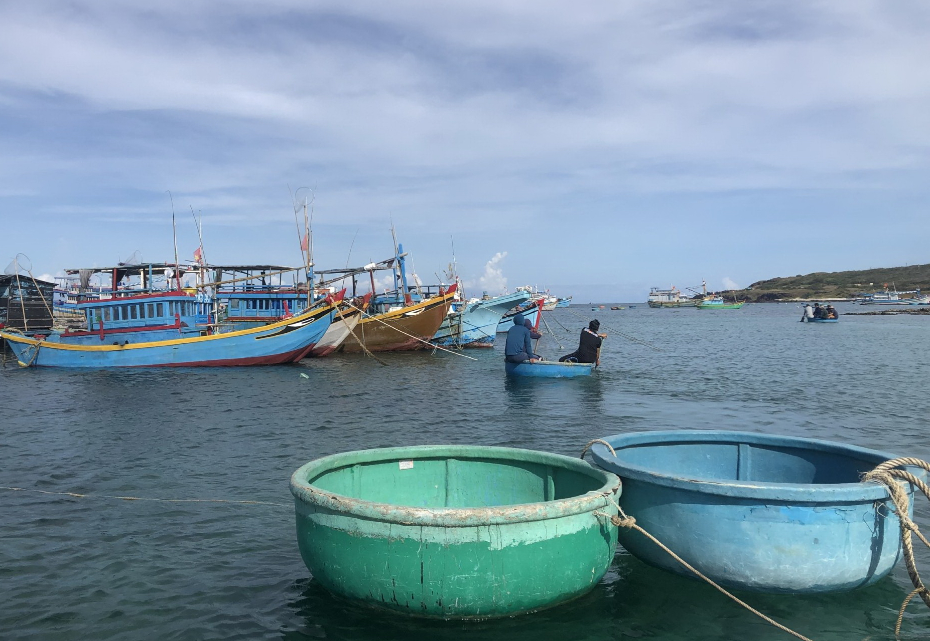 Bình Thuận: Kiểm soát chặt chẽ, không để tàu đánh bắt hải sản bất hợp pháp, vi phạm vùng biển nước ngoài - Ảnh 2.