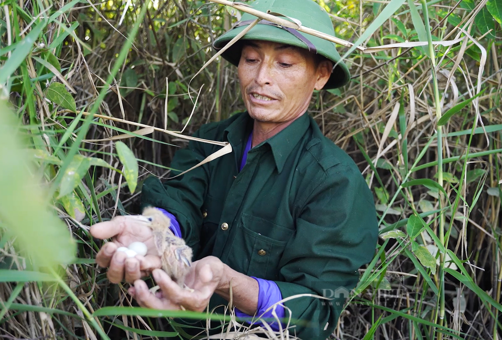 Vợ chồng nông dân ở Quảng Bình bảo vệ chim trời suốt 5 năm qua - Ảnh 2.