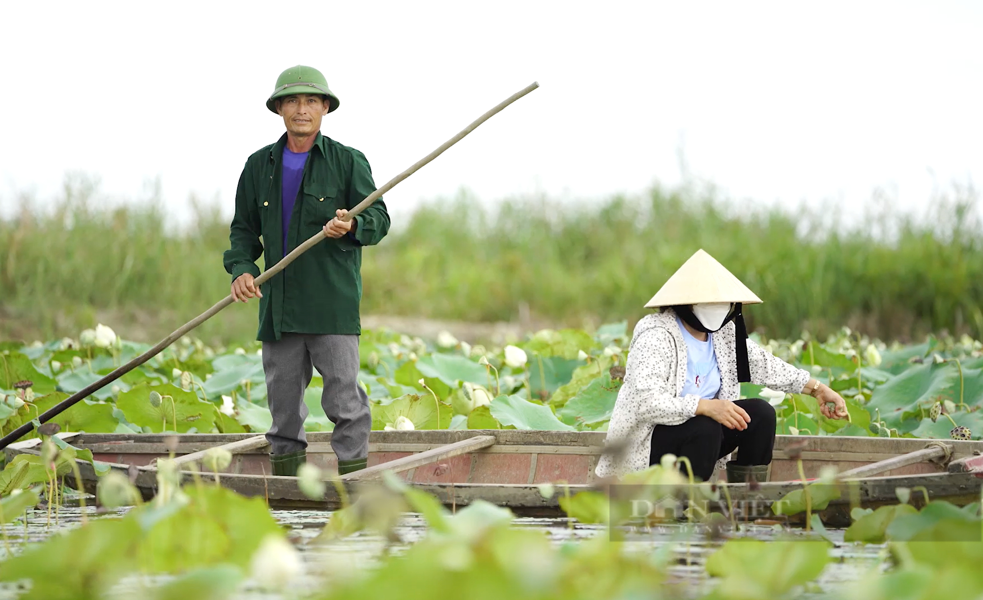 Vợ chồng nông dân ở Quảng Bình bảo vệ chim trời suốt 5 năm qua - Ảnh 1.