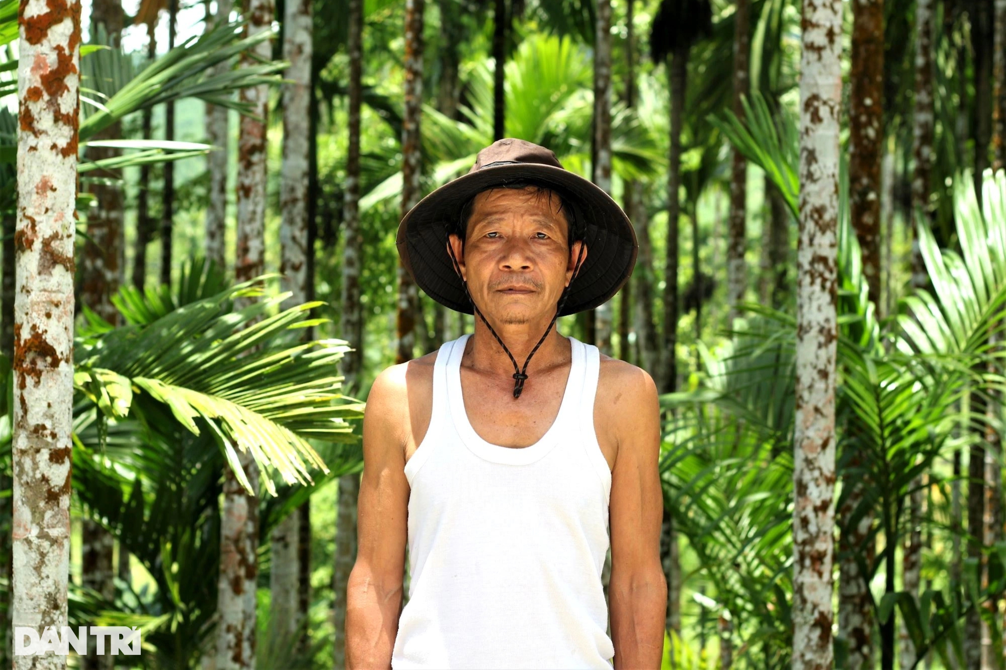 Theo ông Phùng Văn Xuân, 10 năm trở lại đây, vườn cau gia đình ông mỗi năm thu về hơn 3 tấn quả, mang lại thu nhập khoảng 200 triệu đồng (Ảnh: Ngô Linh).